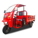 Elektryczny rower trójkołowy cargo o mocy 1500 W